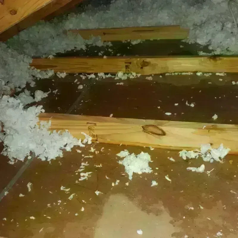 Attic Water Damage in Mount Olivet, KY